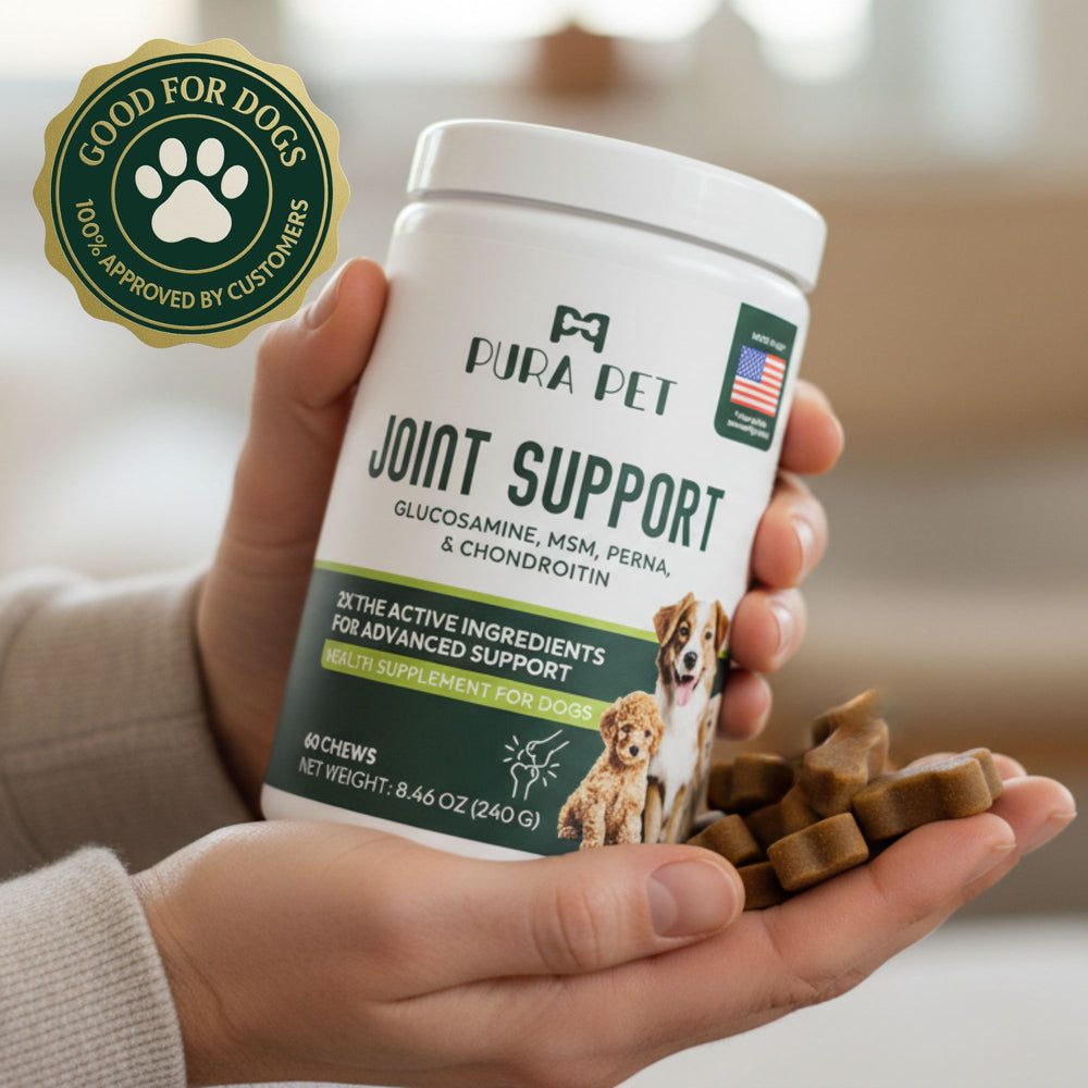 Joint Support Soft Chews