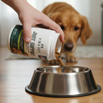 Joint Support Soft Chews