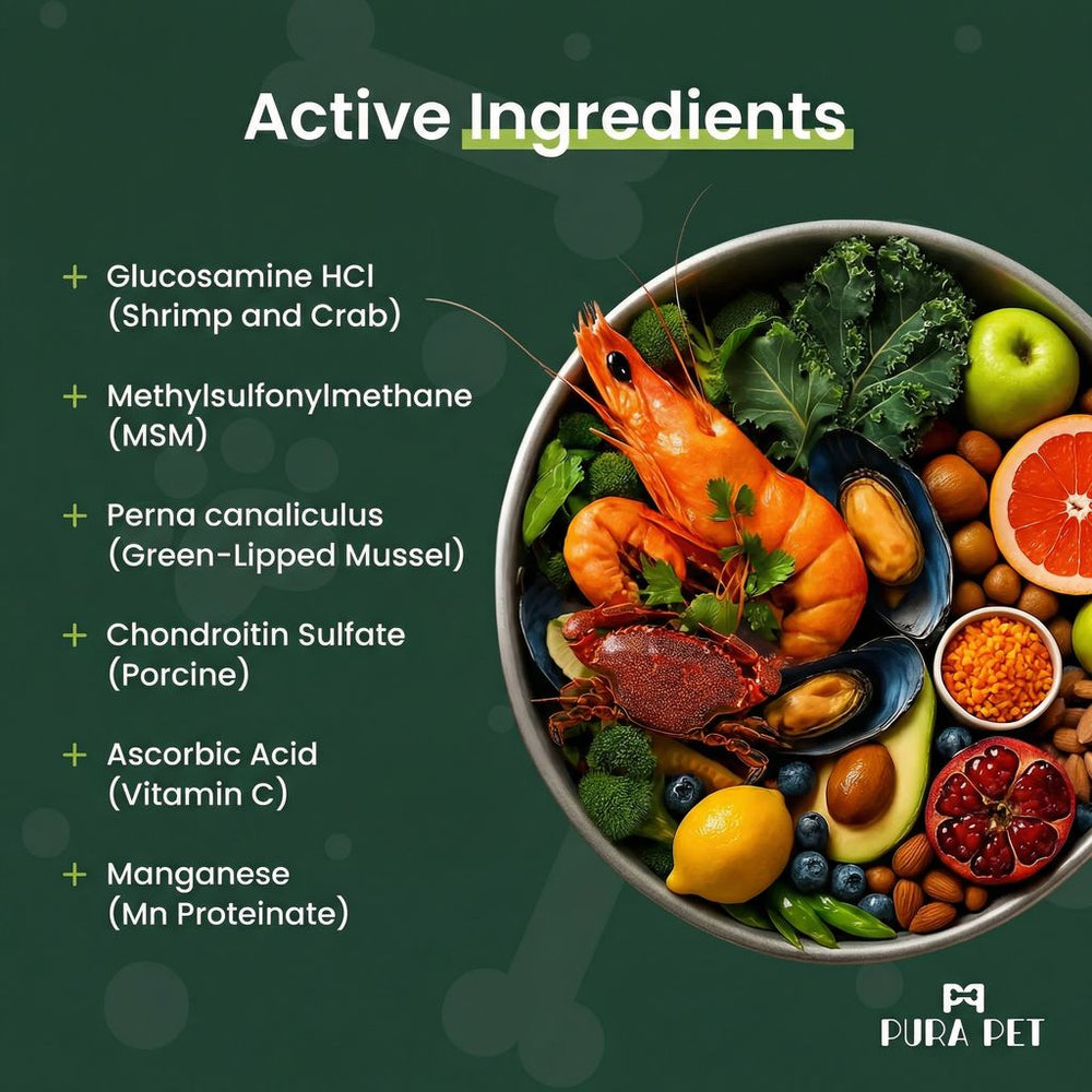 Joint Support Soft Chews