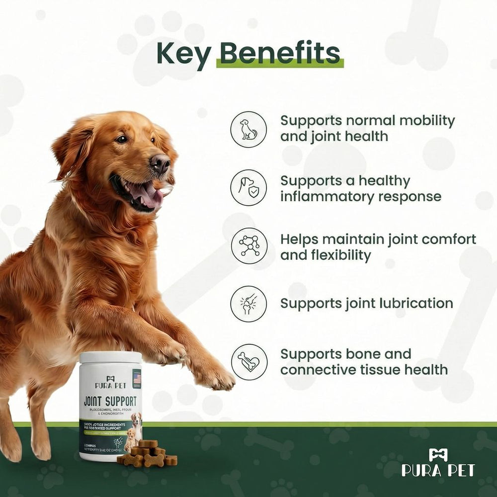 Joint Support Soft Chews