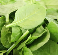 Manganese (Mn Proteinate)